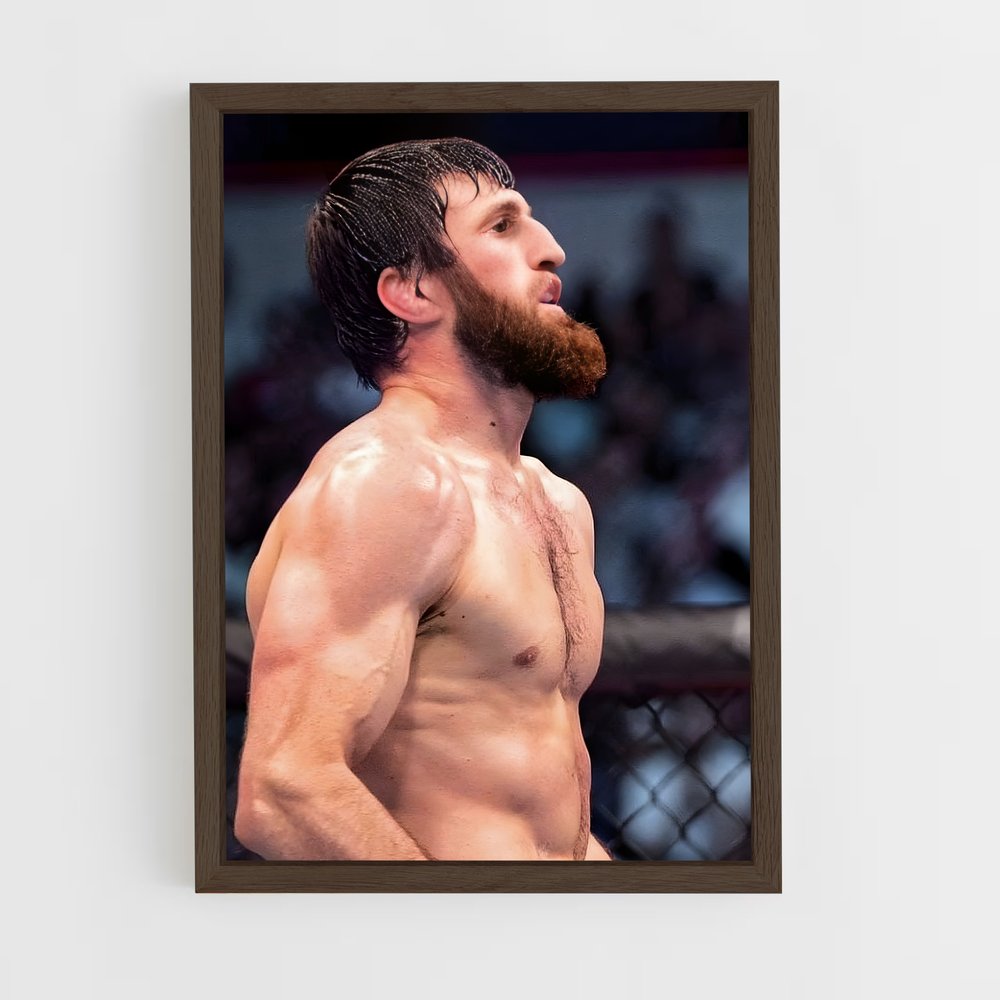Poster Cage de Combat – affiche MMA (vue 5)